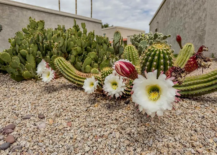 2 Bedroom With Community Pool And Parking Holiday home Scottsdale